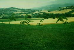 CLICCA